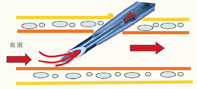 尊龙抖圈 - 为du而生